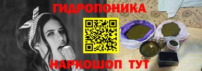 крисы Краснокаменск