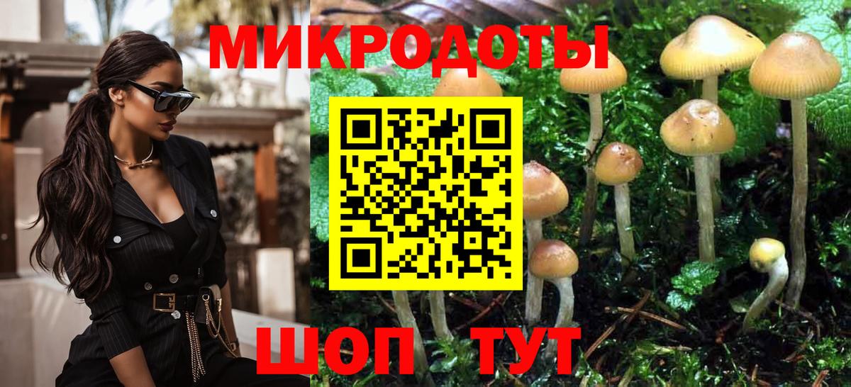 Галлюциногенные грибы MAGIC MUSHROOMS  Вход с VPN  Кимры 